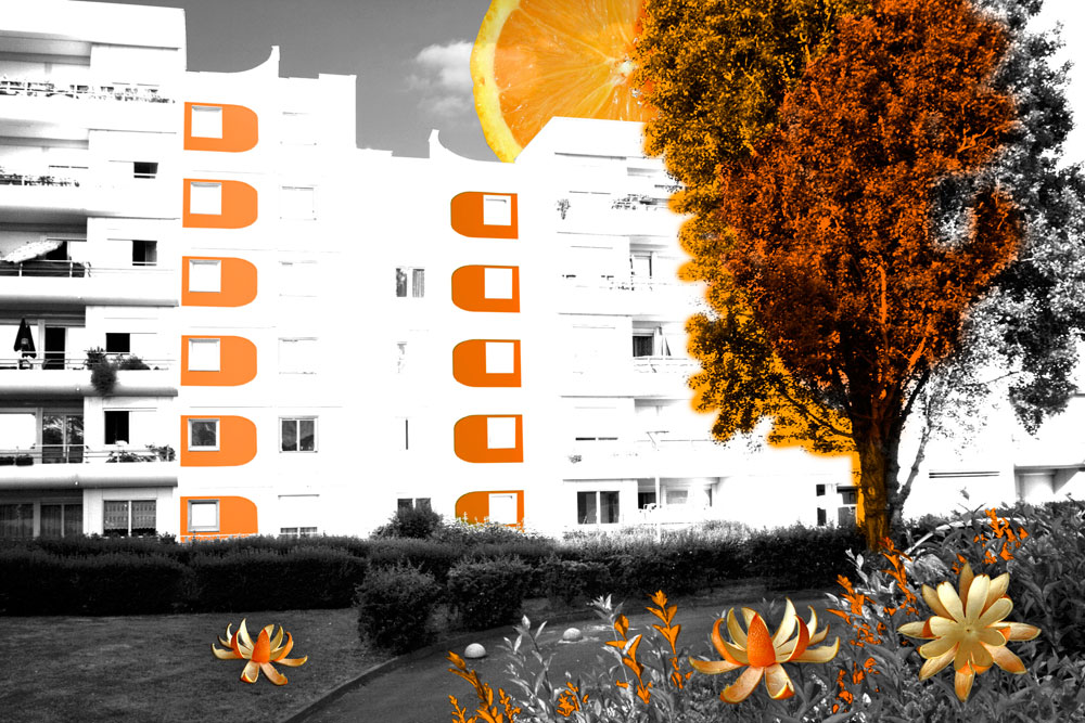 Rezé les Couleurs Rezé les Couleurs