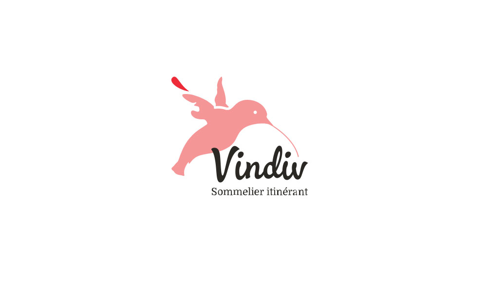 Logo Vindiv EDS store